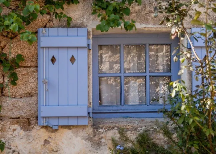 Charming Il Glicine A *